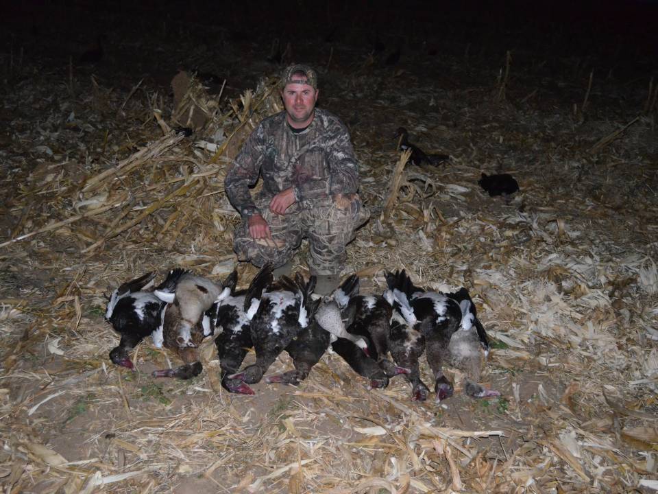 Spur Winged Goose Hunting - Afternoon Limit Shoot.jpg